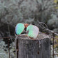 sunglasses with rose-gold lenses and matte rose arms on a post with shrubs in background