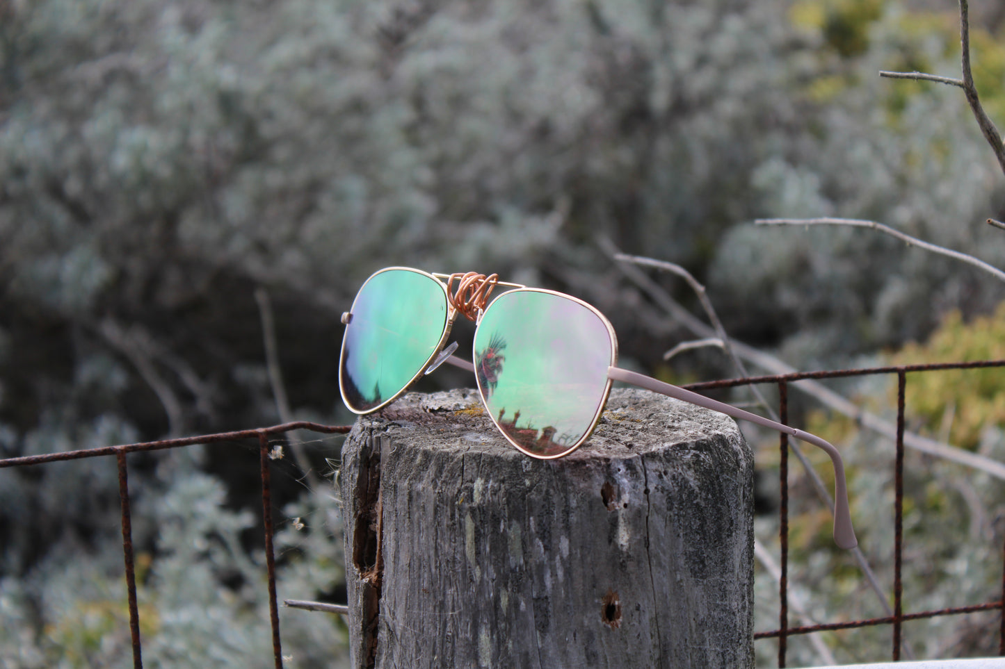 sunglasses with rose-gold lenses and matte rose arms on a post with shrubs in background